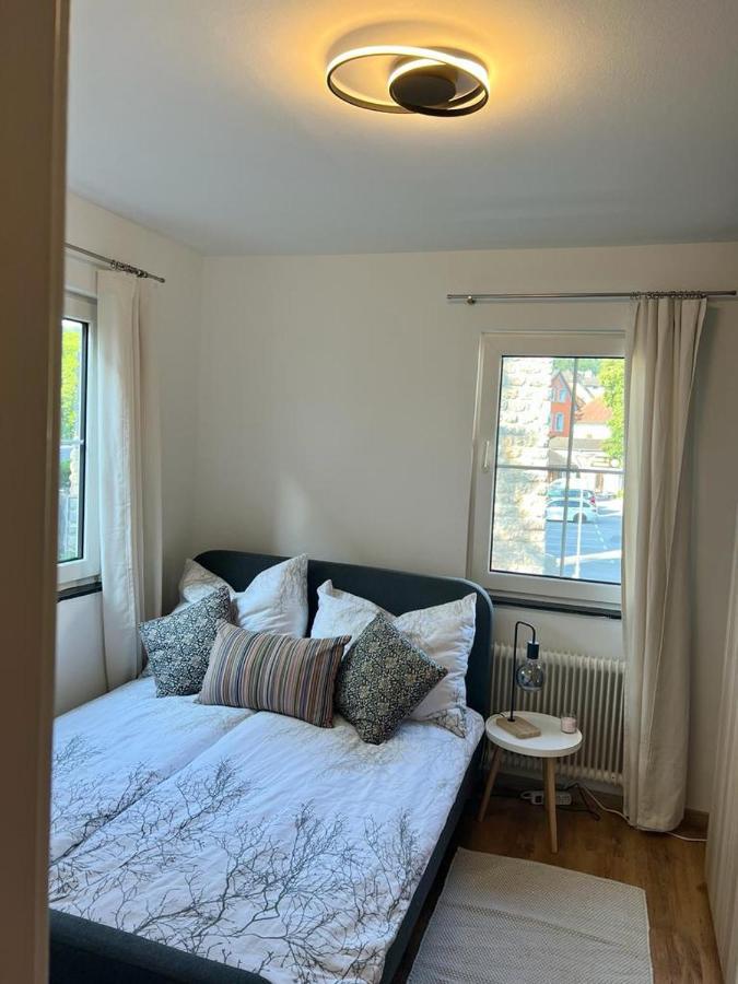 Moderne Ferienwohnung Nahe Zentrum Waidhofen/Ybbs Dış mekan fotoğraf