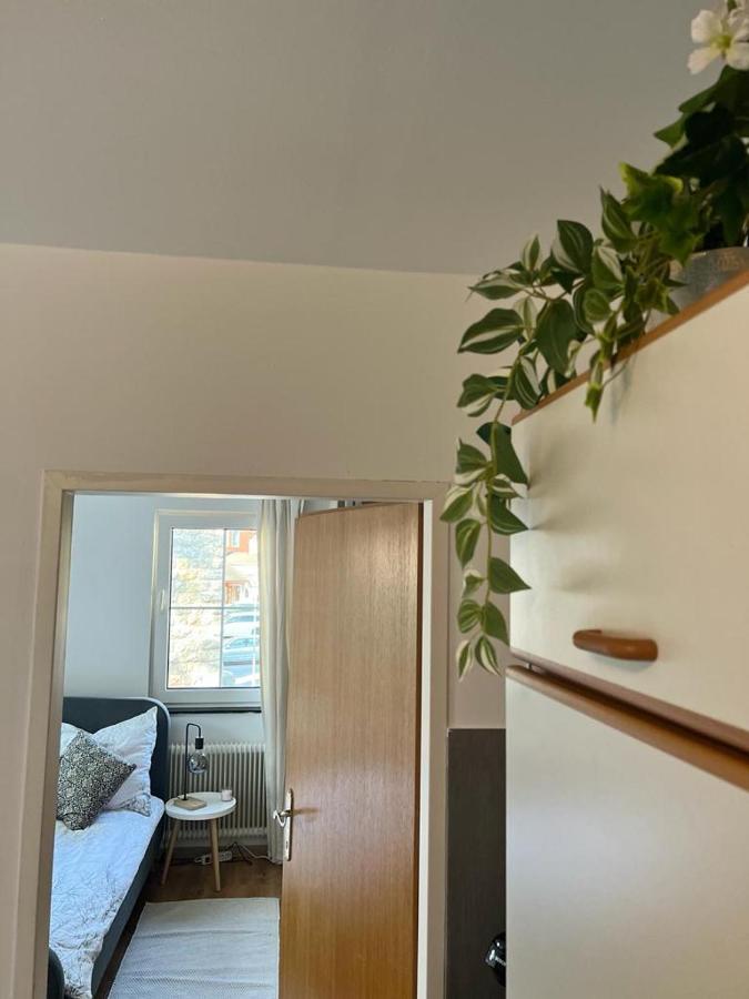 Moderne Ferienwohnung Nahe Zentrum Waidhofen/Ybbs Dış mekan fotoğraf